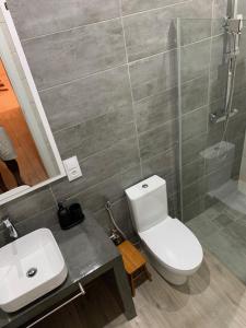 a bathroom with a toilet and a sink and a shower at Alfa-apartamento in Pombas +9 photos