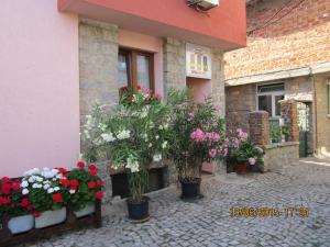 a group of flowers in pots outside of a building at Guesthouse Olimp in Sozopol