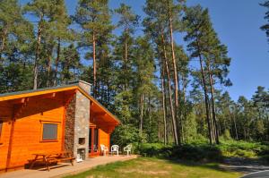 a cabin in the woods with a deck and chairs at Anemoon in Oignies-en-Thierache