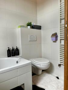 a white bathroom with a toilet and a sink at Apartment Aurora in Buzin