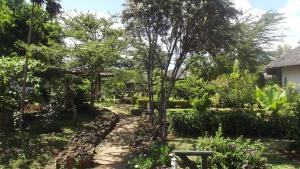 Zahrada ubytování Buffalo's Rest Greenpark-Naivasha