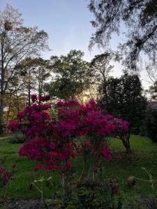 En have udenfor Stay Play On Golf Course. Pet Yes