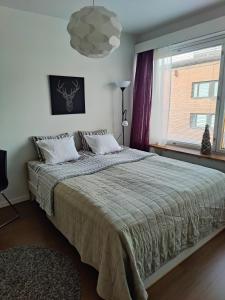 ロヴァニエミにあるJaakonkatu City Apartmentの大きなベッドと窓のある寝室