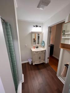 een badkamer met een wastafel en een spiegel bij Lux Studio W Kitchenette Pet Yes in Beaufort