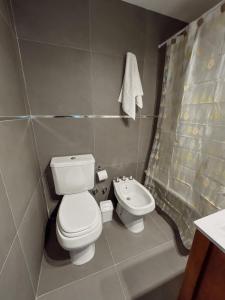 a bathroom with a white toilet and a sink at Gente del Sur - Buena Vista in Ushuaia