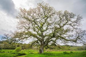 Φυσικό τοπίο κοντά σε αυτή η παραθεριστική κατοικία