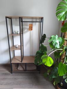 a book shelf with a plant in a room at Outlander Cottage B&B vicino Centergross Bologna in Bentivoglio