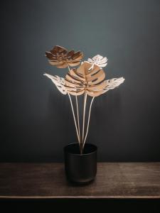 Billede fra billedgalleriet på ASTRID Mons i Mons