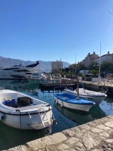 a group of boats are docked in a harbor at Plaža Stari Grad Budva pjena od mora Beach Apartman in Budva