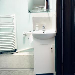a white bathroom with a sink and a mirror at Główna Apartamenty Nad Nogatem in Malbork +23 photos