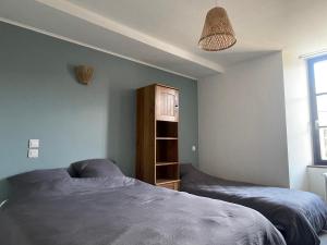 a bedroom with two beds and a book shelf at Le Logis de Sally in La Forêt-sur-Sèvre