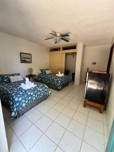 a bedroom with two beds and a ceiling fan at Kasa Mar in Puerto Villamil