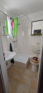 Koupelna v ubytování Schieferstübchen Winterberg Ferienwohnung für 10 Personen + 6 fotografií