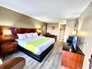 een hotelkamer met een bed en een televisie bij Rodeway Inn Jackson Northwest in Jackson +10 foto's