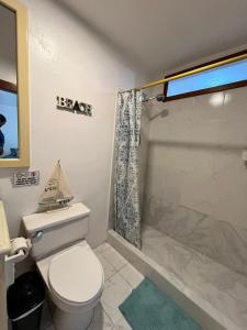 a bathroom with a toilet and a shower at Kasa Mar in Puerto Villamil +14 photos