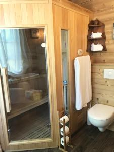 a bathroom with a toilet and a glass shower stall at Grand chalet de charme cosy, sauna & vue de rêve in Ban-sur-Meurthe-Clefcy +37 photos