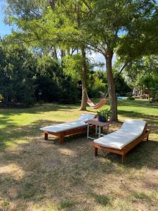 Dos camas y una hamaca debajo de un árbol. en Laureles, en Zenón Videla Dorna