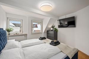 a bedroom with a bed and a flat screen tv at Modernes Appartementhaus mit Self-Checkin im Herzen der Stadt in Bad Kissingen