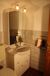y baño con lavabo, espejo y aseo. en Apartment Haus Sternenhimmel, en Lehmrade