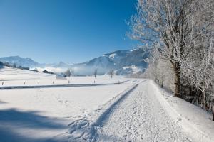Chaletdorf ZellerSee v zimě