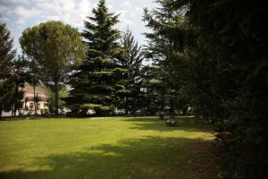 Zahrada ubytování Hotel Bassetto