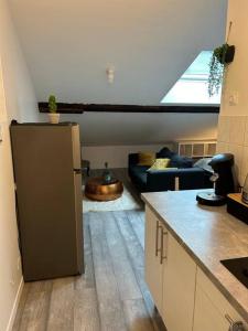 une cuisine avec un réfrigérateur et un salon dans l'établissement Studio Metz centre & gare, à Metz 6 autres photos