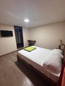 Postel nebo postele na pokoji v ubytování Hotel Casa Colonial Montufar
