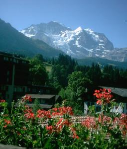 uma montanha coberta de neve à distância com flores vermelhas em Chalet Tilia em Wengen