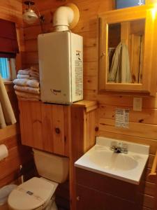 bagno con servizi igienici, lavandino e forno a microonde di Wild Fox Cabins a The Pines Altre 32 foto
