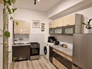 a kitchen with a sink and a stove at Wrocławska 6 in Świdnica
