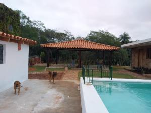 Bazen v nastanitvi oz. blizu nastanitve Casita de Piedra