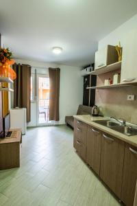 Kuchyň nebo kuchyňský kout v ubytování Apartmani Barović Bečići