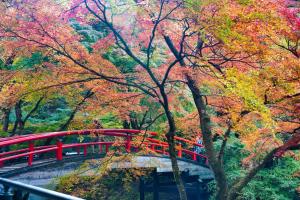 千吉良新干线旅馆外面的花园