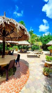 Giardino di Appartement 8 & 9- Lagun blou resort - Curaçao