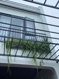 un balcone con piante sul lato di un edificio di LavA homestay a Dong Hoi