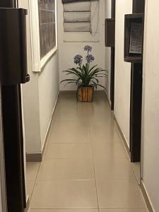 Billede fra billedgalleriet på Motel Sapucahy i Belo Horizonte + 6 billeder