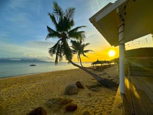 Příroda nedaleko vily + 97 fotografií