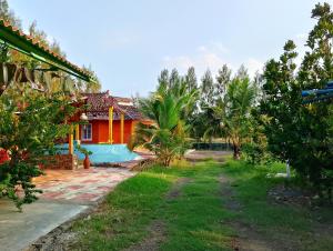 Zahrada ubytování Coral House