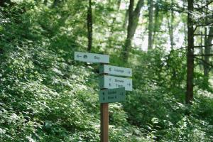 Naturlandschaft in der Nähe des Campingplatzes