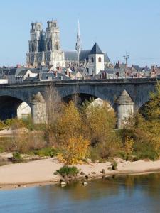 un pont sur une rivière avec une ville en arrière-plan dans l'établissement Hotel Saint-Aignan, à Orléans