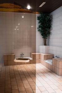 een badkamer met een wastafel en een potplant bij Penthouse Brockenblick 381 in Braunlage