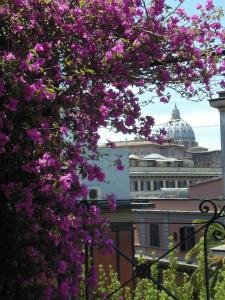 Vườn quanh Hotel dei Consoli Vaticano