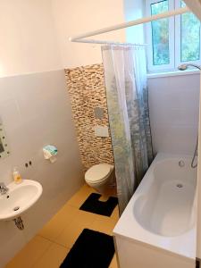 un bagno con un water e un lavandino di Family Apartments center of Mürzzuschlag a Mürzzuschlag