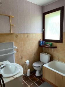 a bathroom with a toilet and a sink and a tub at Charmant gîte de montagne avec cheminée in Saint-Paul-de-Salers +33 photos