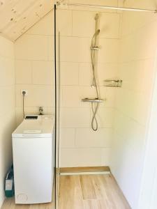 a shower with a washer and dryer in a bathroom at Ferienhaus - Senn-Inn im Zentrum von Schladming in Schladming