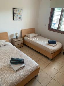 a bedroom with two beds and a window at Villa Helena in Peyia
