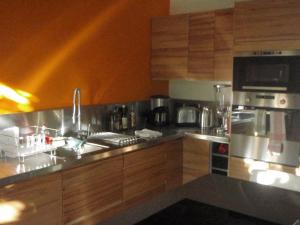 Η κουζίνα ή μικρή κουζίνα στο Loft New Yorkais in Paris Bercy