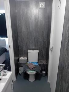 ブリドリントンにあるGarden roomのトイレと洗面台のある小さなバスルーム +3枚の写真
