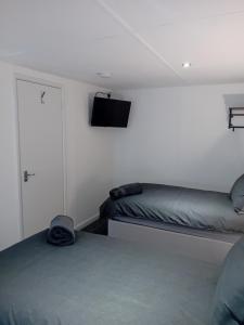 ブリドリントンにあるGarden roomのベッドが2つと壁にテレビがある寝室