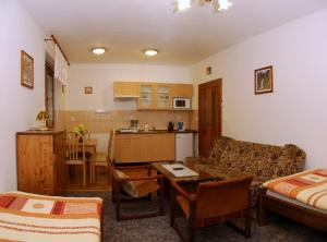 Kuchyň nebo kuchyňský kout v ubytování Pension-Apartmany Apollo